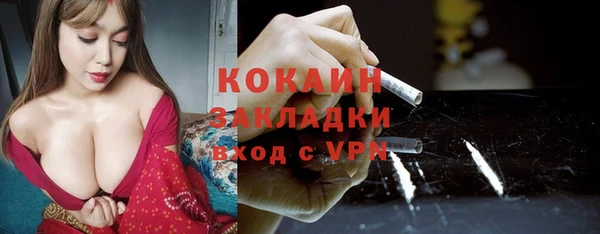 гидропоника Каменка