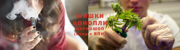 гидропоника Каменка