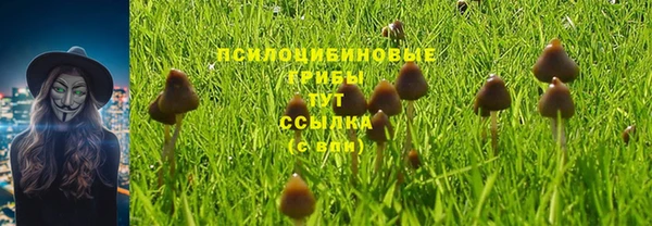 стаф Инсар
