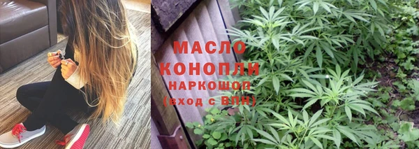 стаф Инсар