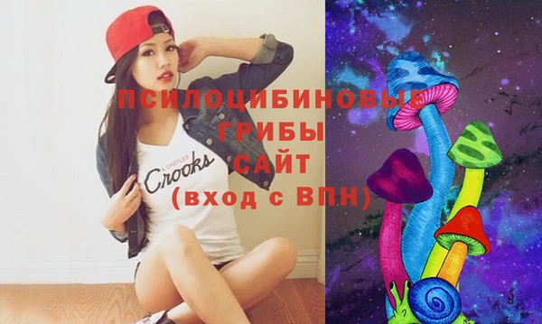 гидропоника Каменка