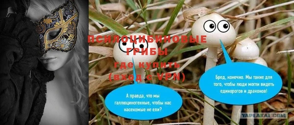 гидропоника Каменка