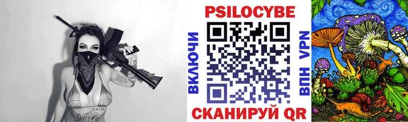 Купить закладки  Верхняя Пышма  Галлюциногенные грибы мицелий 
